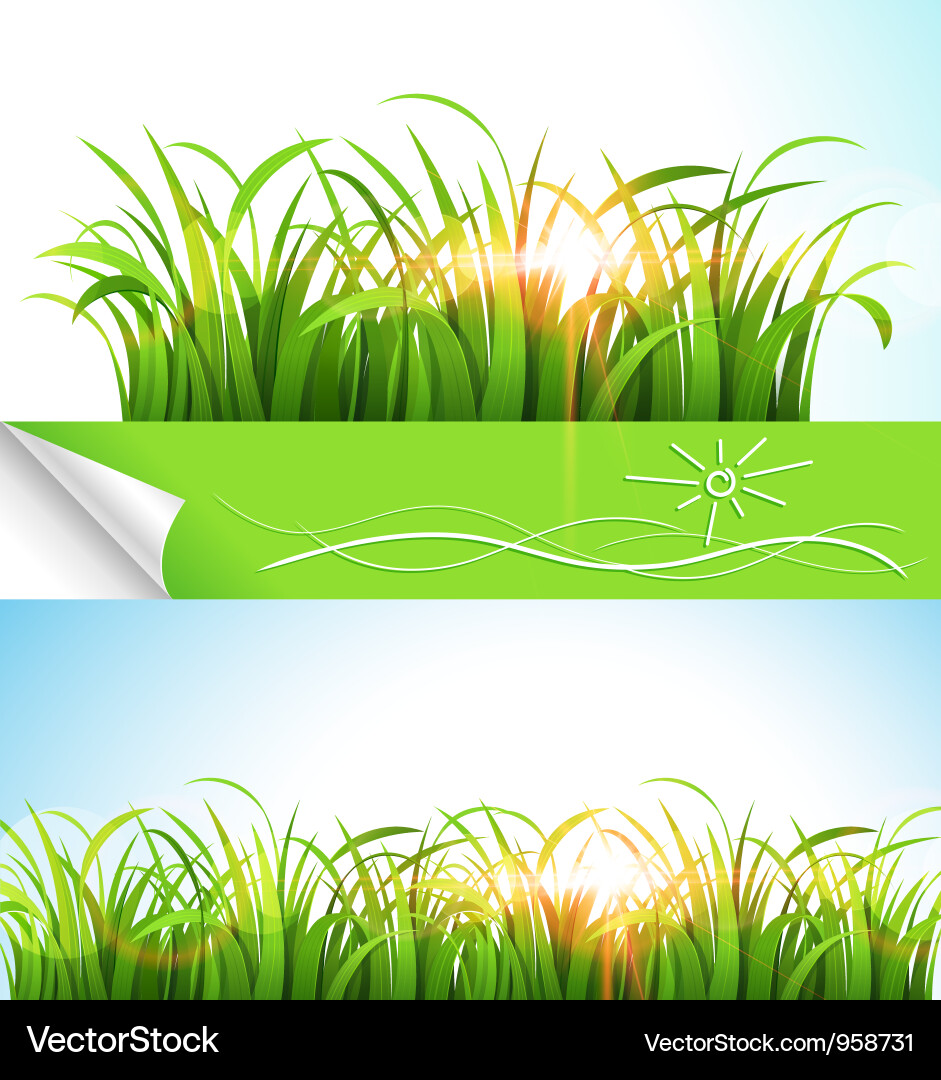 Bright Green Grass Field Vector Image