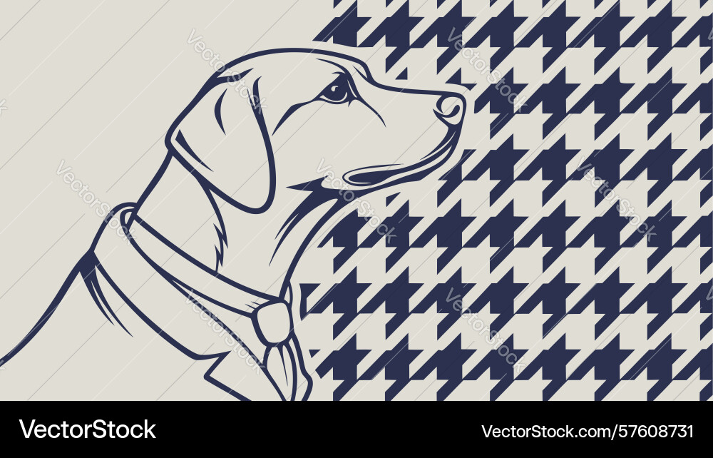 Houndstooth pattern background with dynamic lines vector image