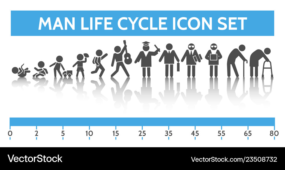 Human Lifecycle Icons vector image