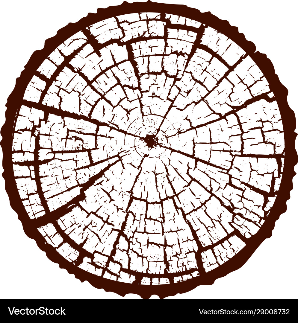 Tree trunk with cracks isolated on white vector image