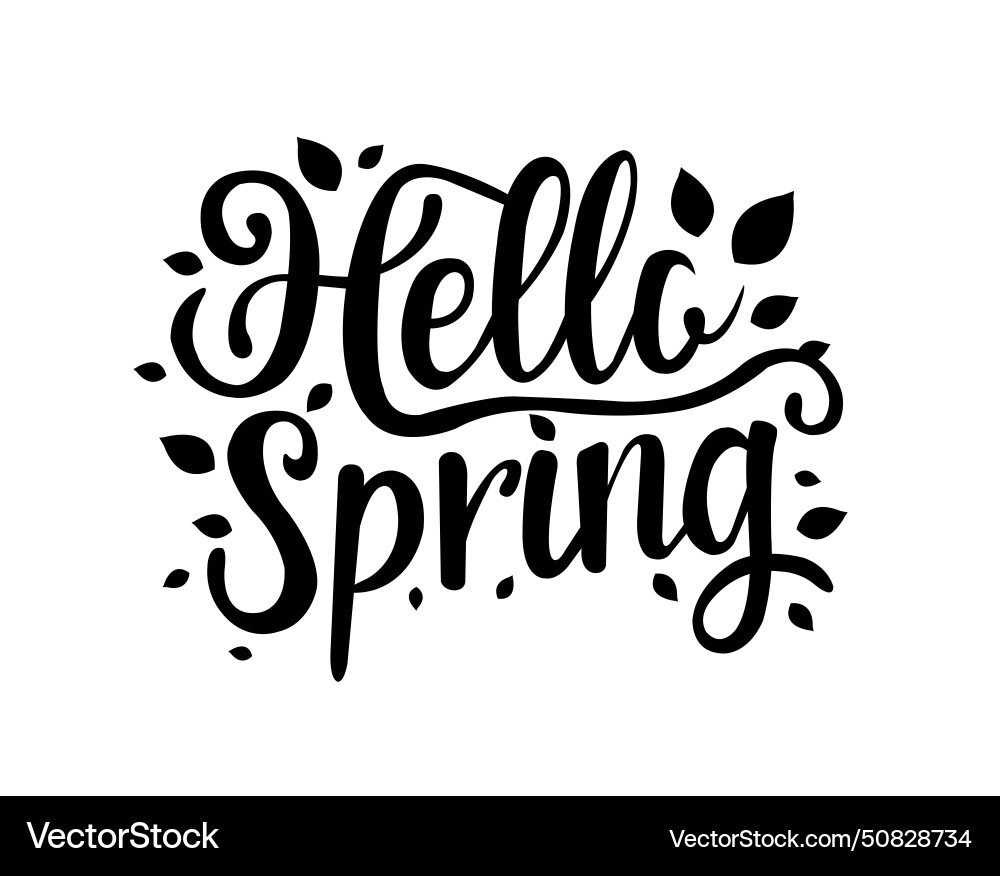 Hello spring text isolated white background vector image