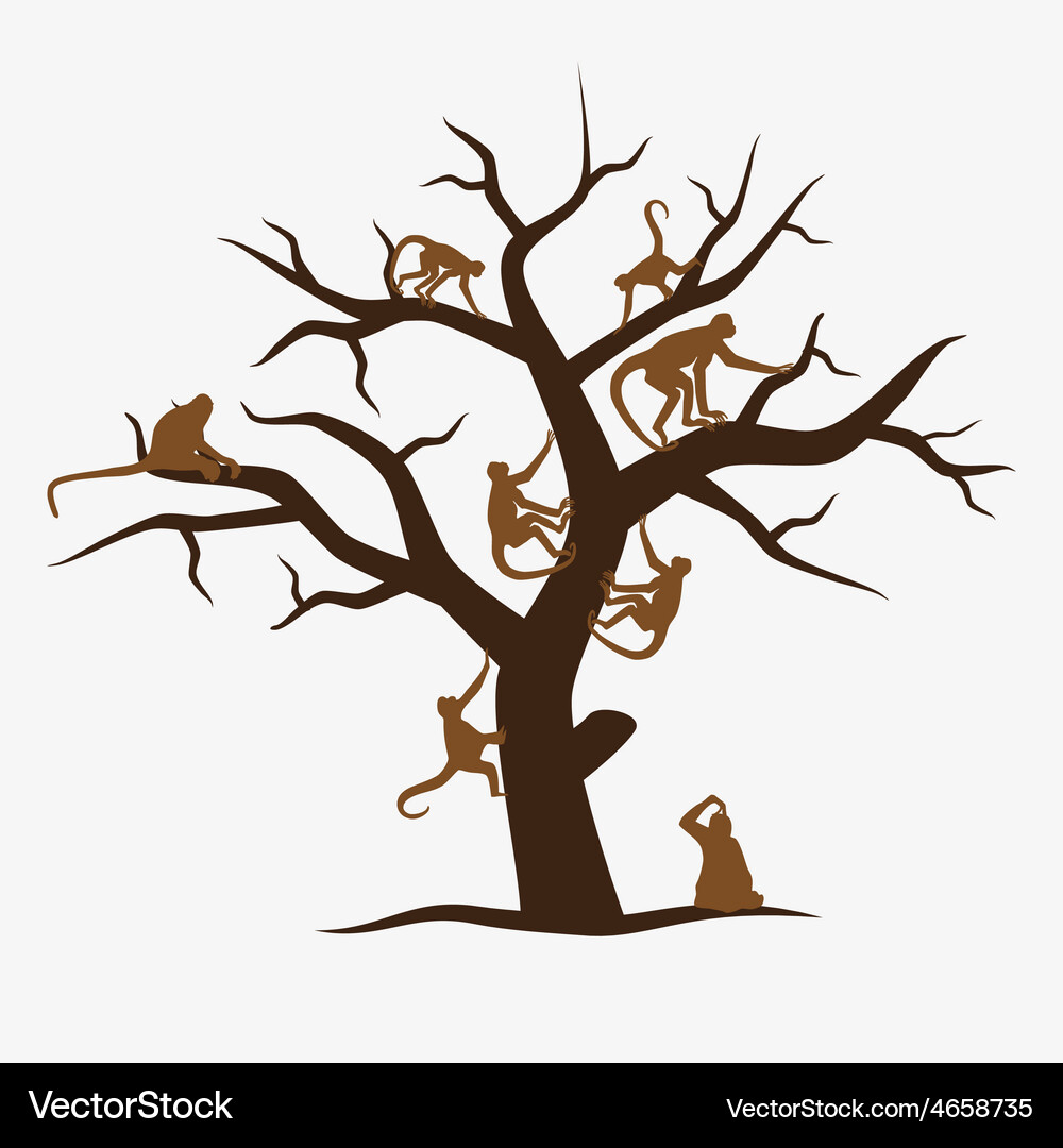Monkey Tree with Branching Foliage Vector Image