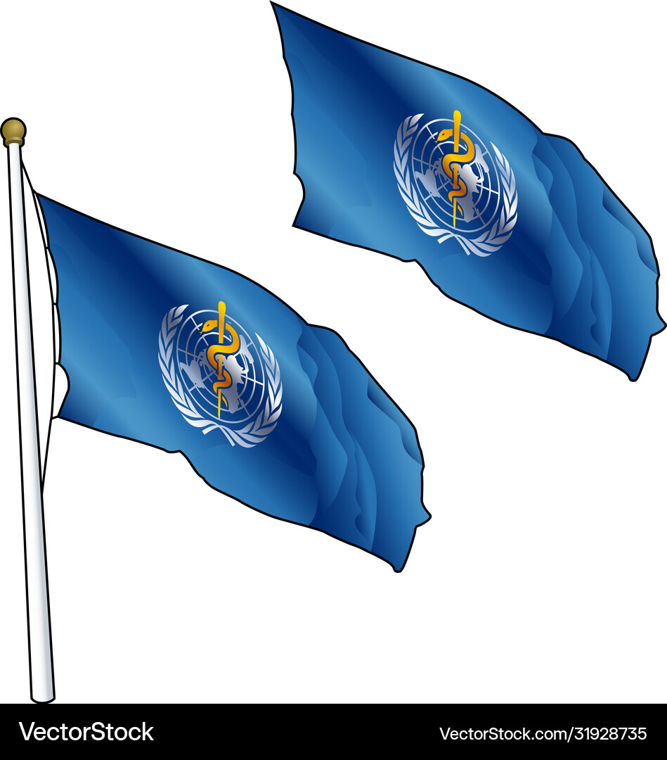 Waving world health organization flag – Royalty-Free Vector | VectorStock, image size:949x1080