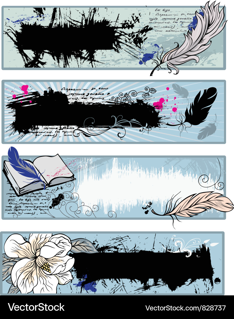 Backgrounds with feathers vector image