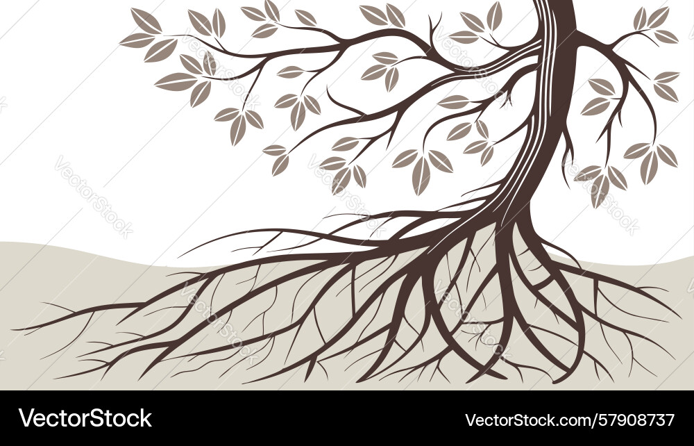 Strong tree with deep exposed roots design Vector Image