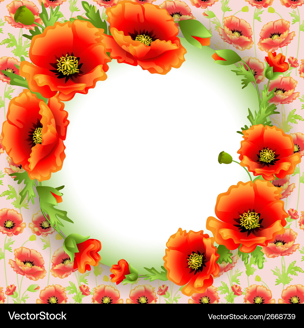 Background frame with poppies in a circle and plac Vector Image