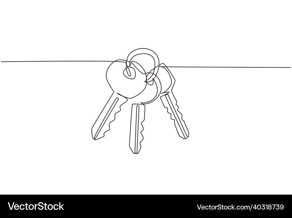 Three Continuous Line Keys Vector Image