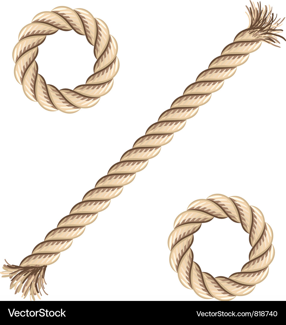 Rope Detail - Textured Strand Vector Image