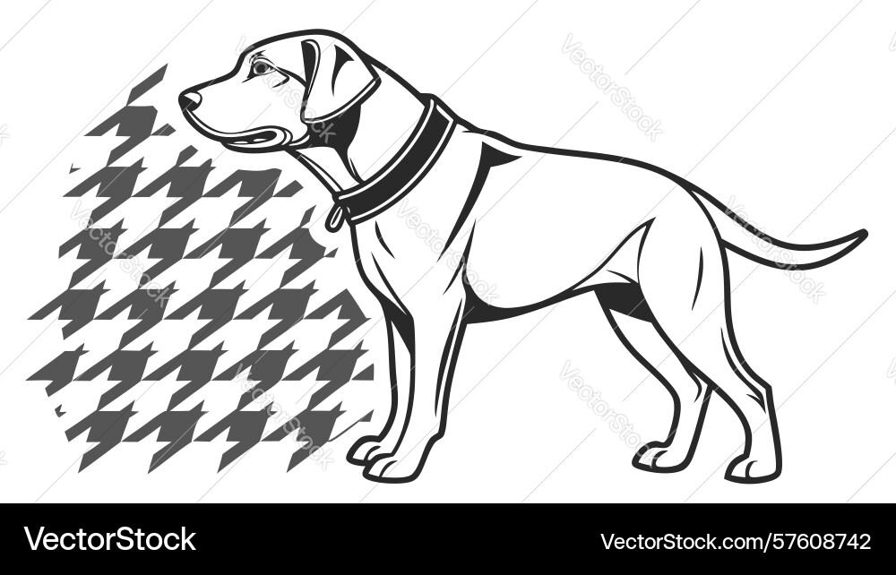 Sleek dog with houndstooth pattern distinctive vector image
