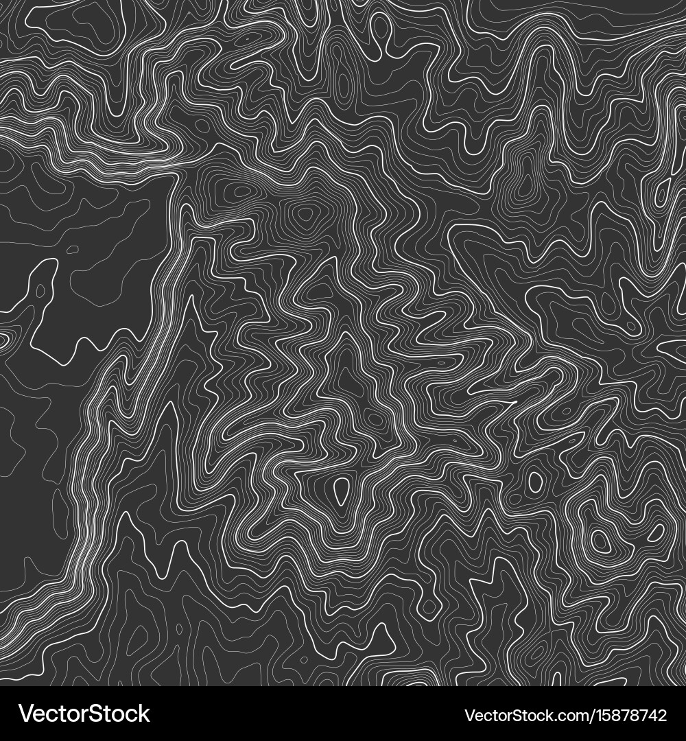 Topographic map background with space for copy Vector Image