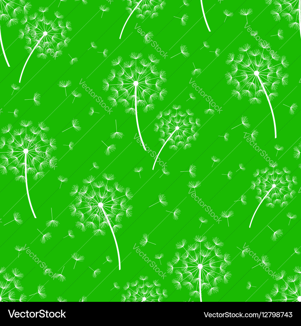 White Dandelion Seamless Pattern Vector Image