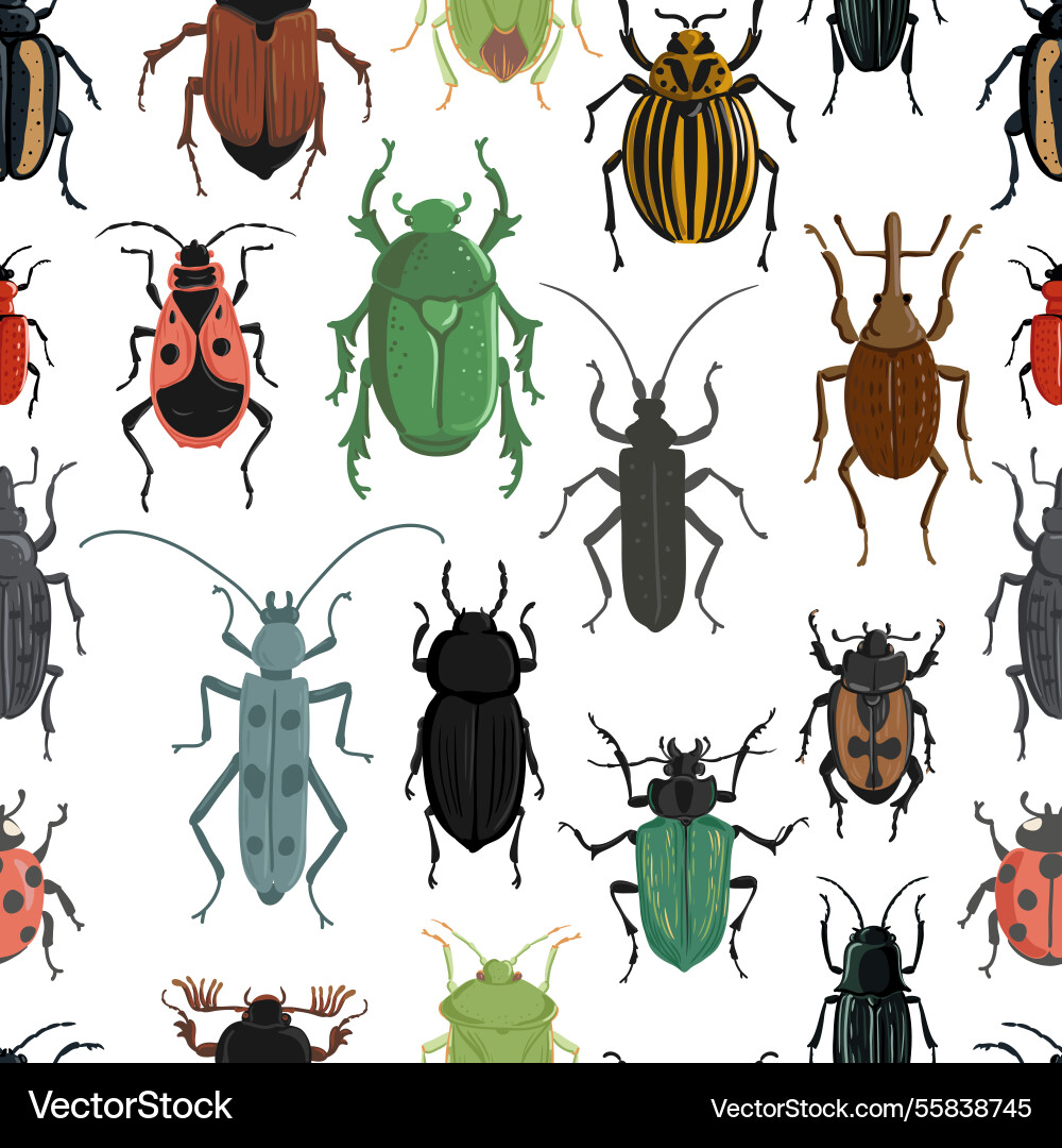 Drawing seamless pattern with bugs Drawing seamless pattern with bugs vector image
