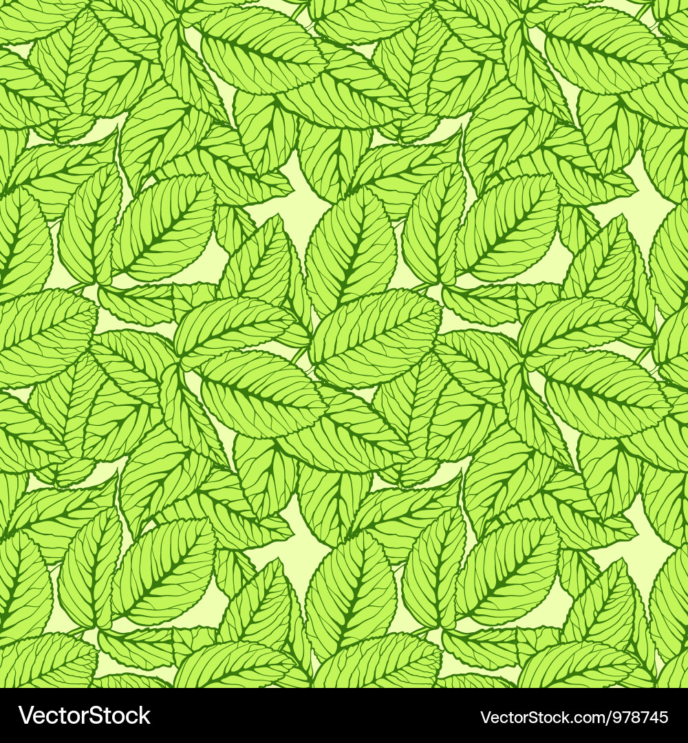 Mint Leaf Seamless Pattern vector image