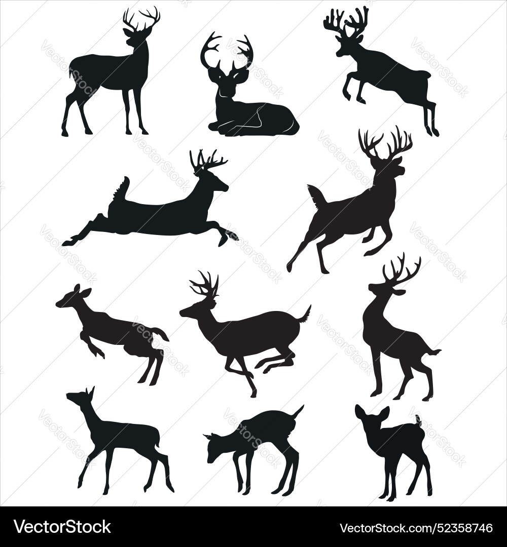 Deer Antler Collection - Silhouettes Vector Image