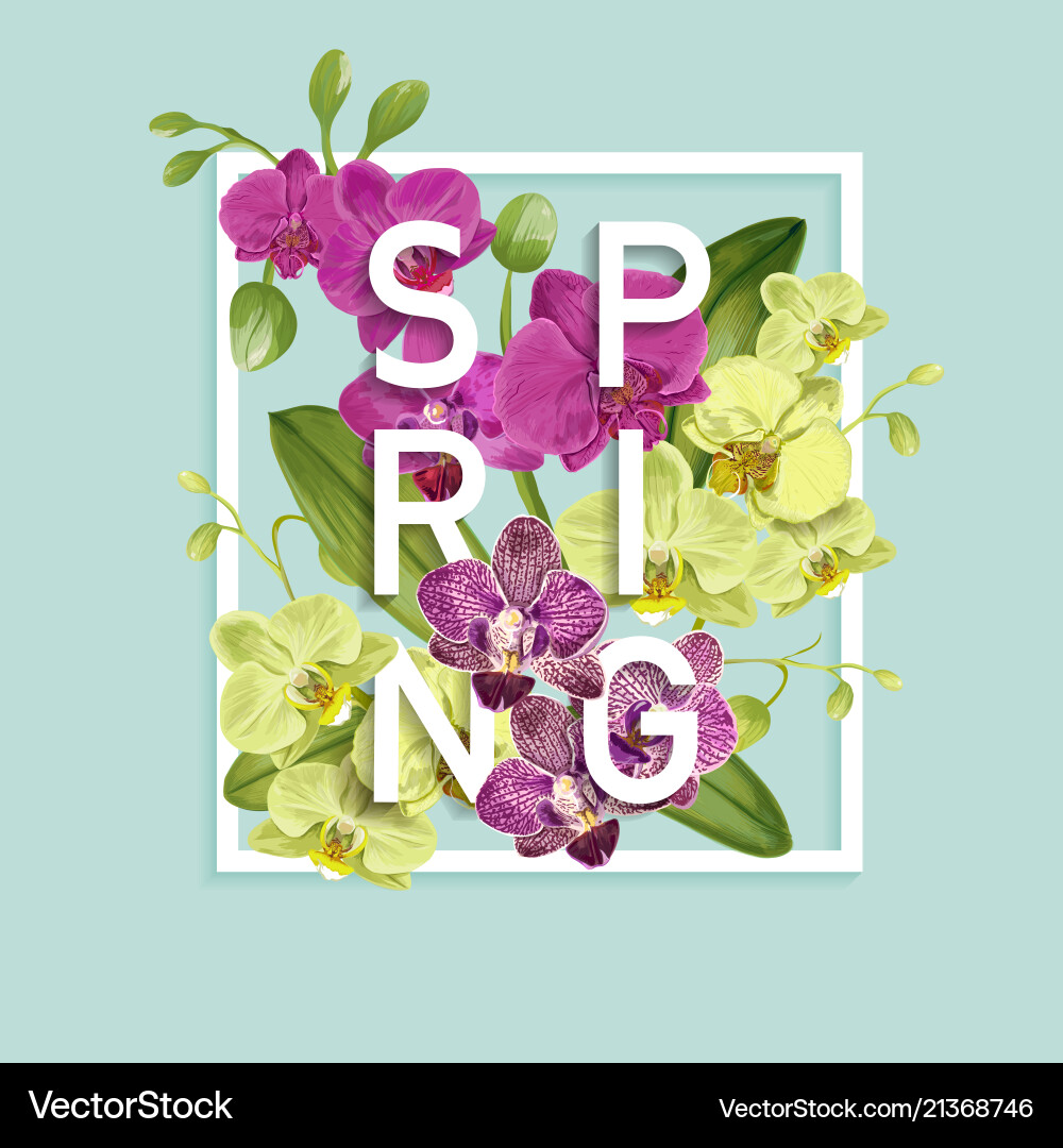 Hallo Frühling Tropen Design tropische Orchideen Blumen Hallo Frühling Tropen Design tropische Orchideen Blumen vektorbild