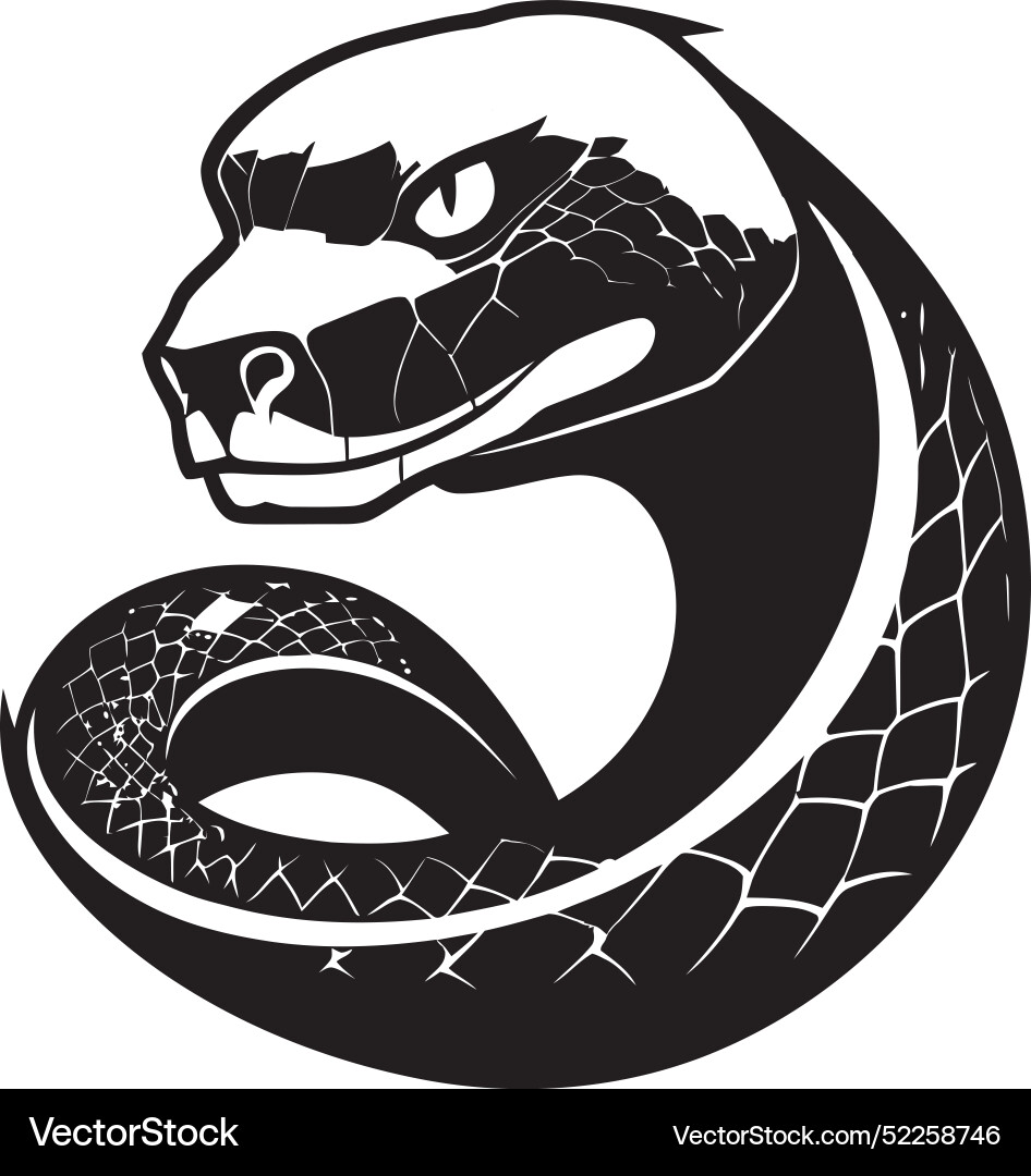 Mystic cobra shadows abstract graphicschic python Vector Image