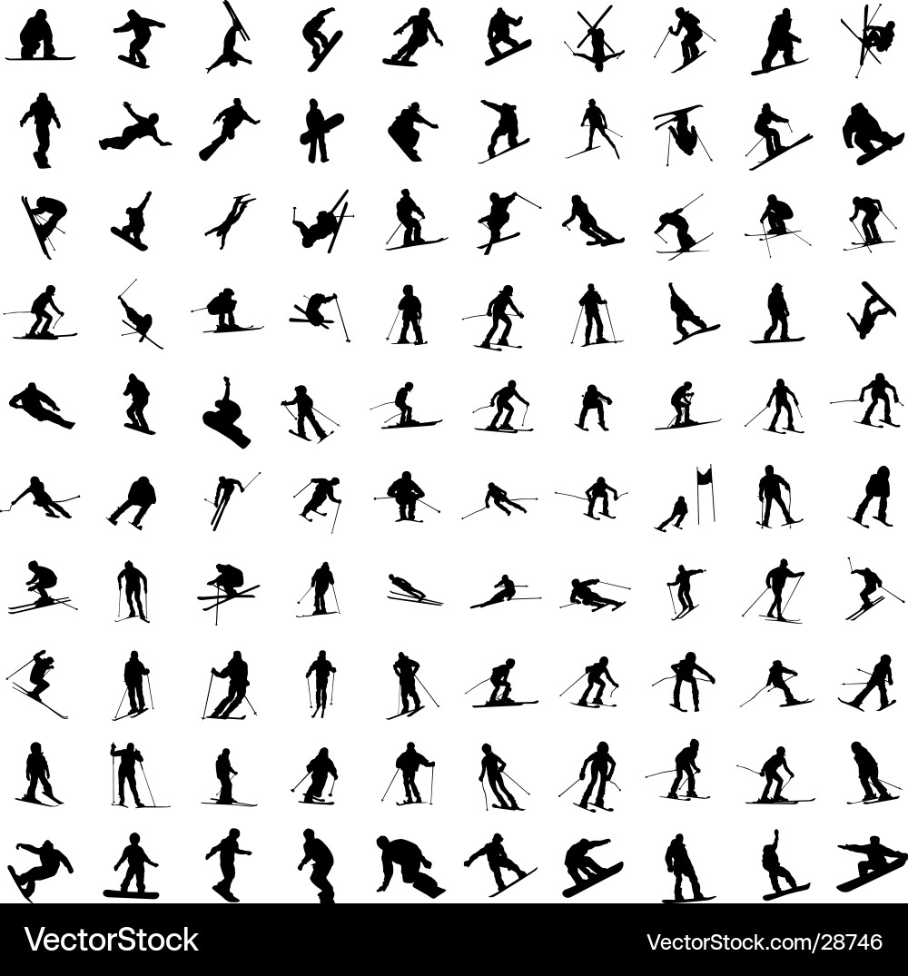 Winter Skiing Action vector image