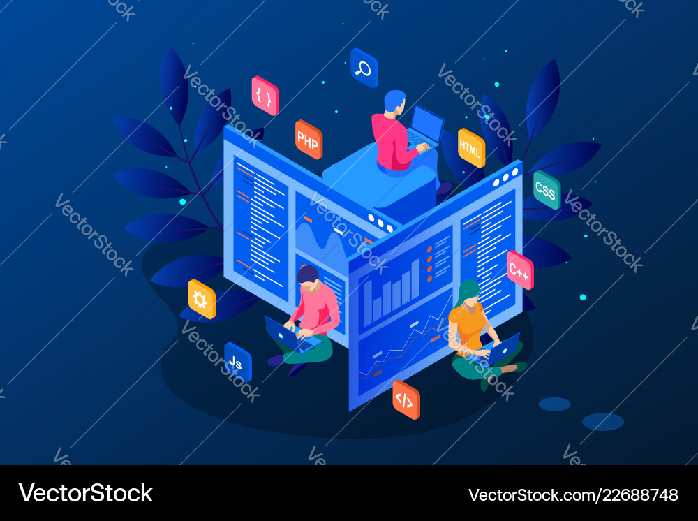 Isometric programmer coding new project web Isometric programmer coding new project web vector image