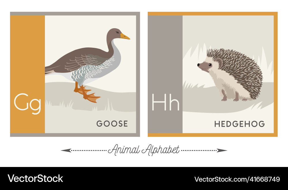 Animal alphabet g for goose and h hedgehog Vector Image