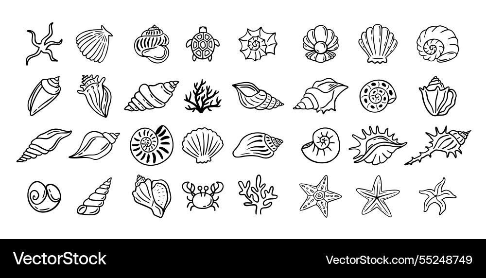 Shells doodle hand drawn style set outline Vector Image