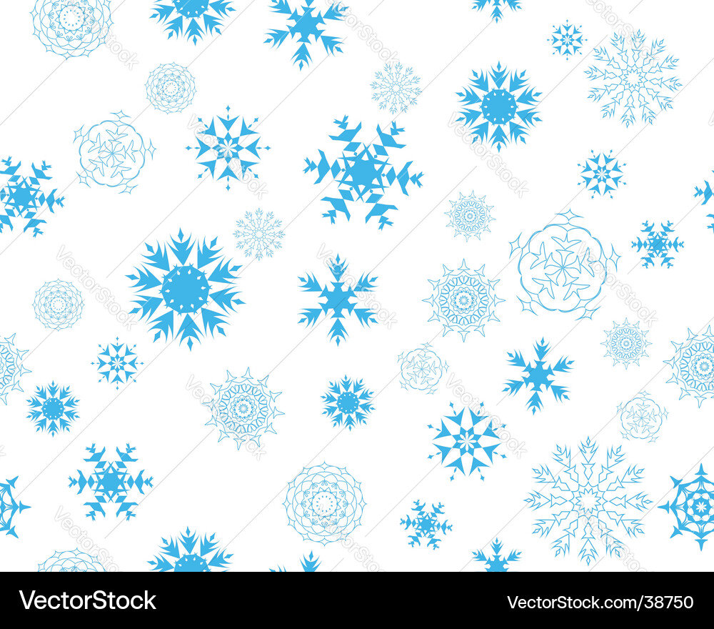 Winter Snowflake Pattern vector image