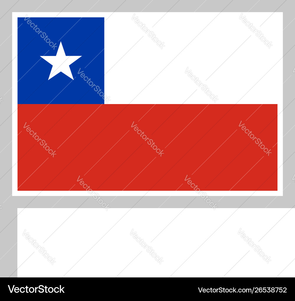 Flag on flagpole rectangular shape icon white Flag on flagpole rectangular shape icon white vector image