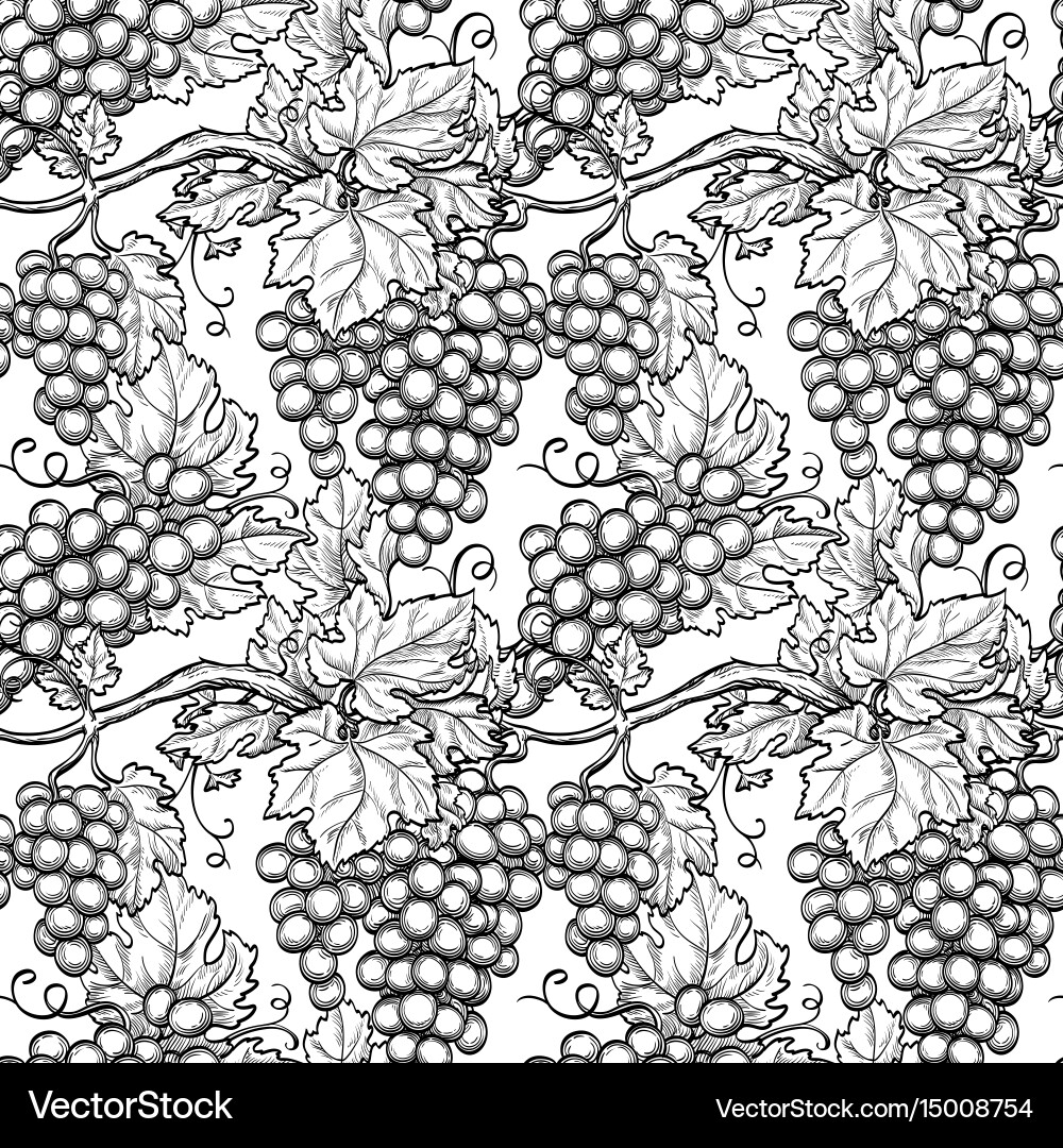 Grapevine Pattern Vector Image