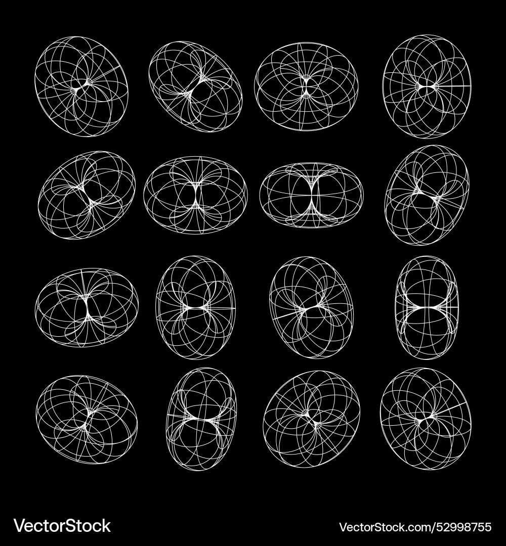 Wireframe shapes lined torus perspective mesh Vector Image