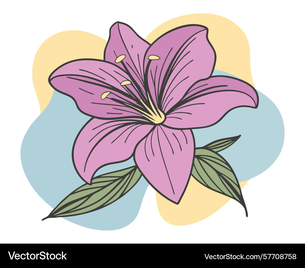 Amaryllis clipart color blobs on white background Vector Image