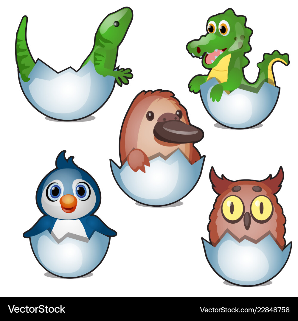 Cute new born animals hatch eggs isolated on white Cute new born animals hatch eggs isolated on white vector image