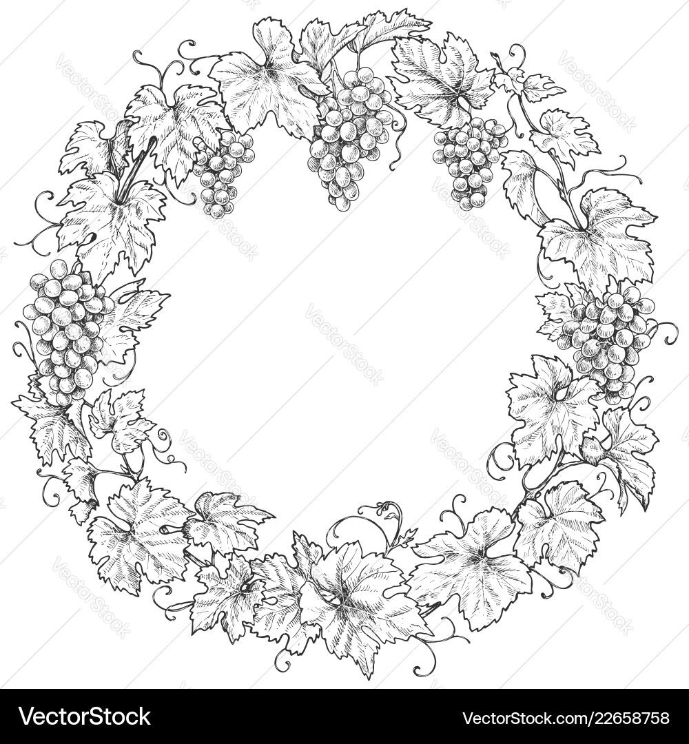 Grape Branch Frame - Monochrome vector image