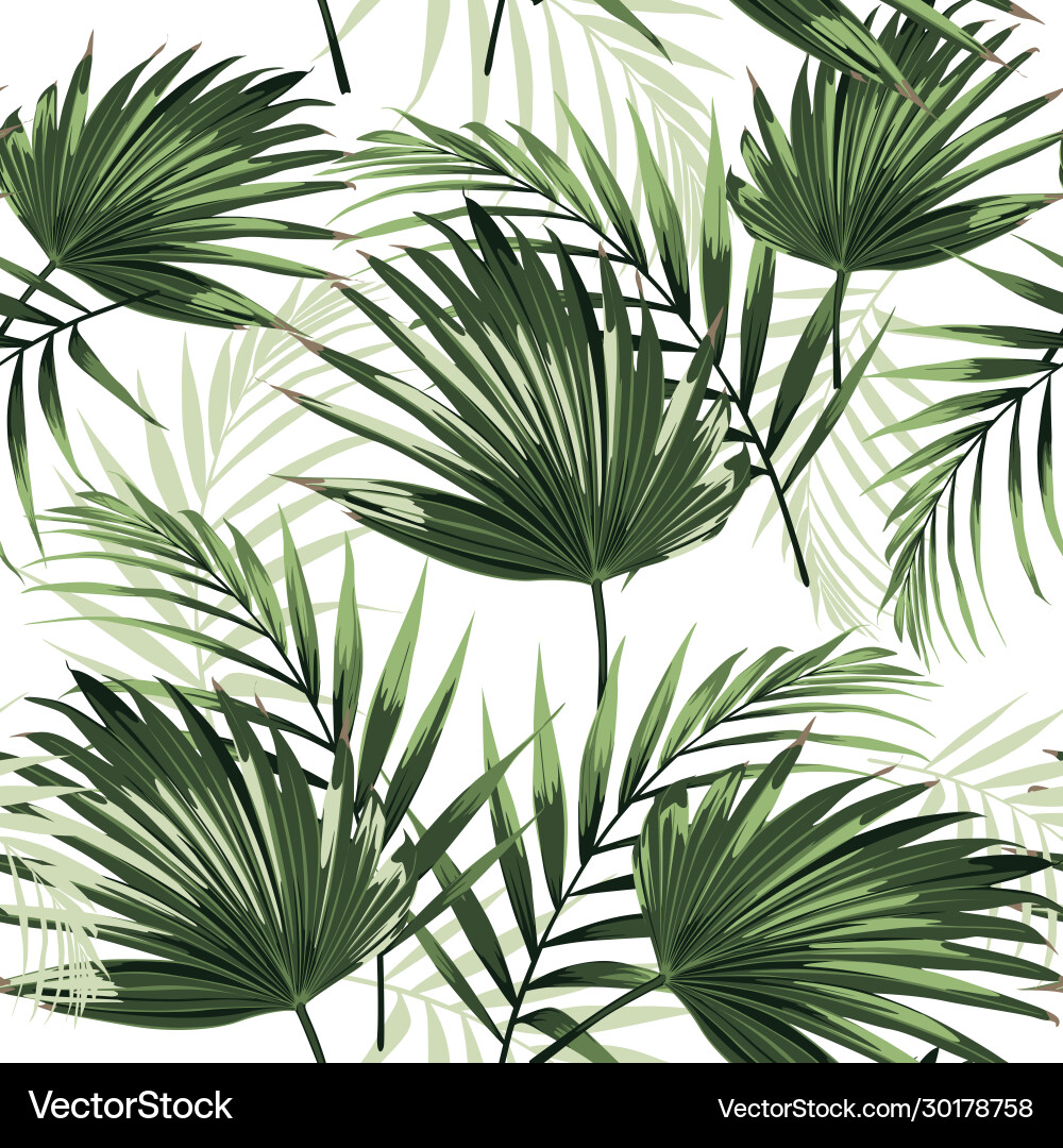 Tropical palm leaves white background vector image