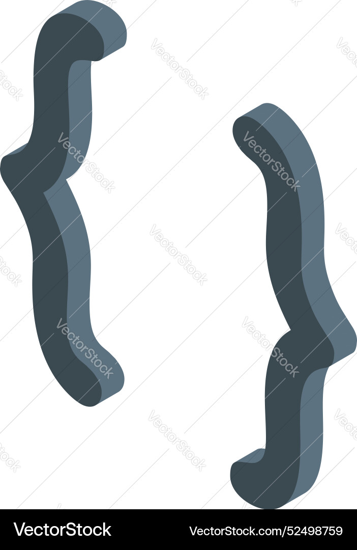 Programming brackets creating code block Vector Image