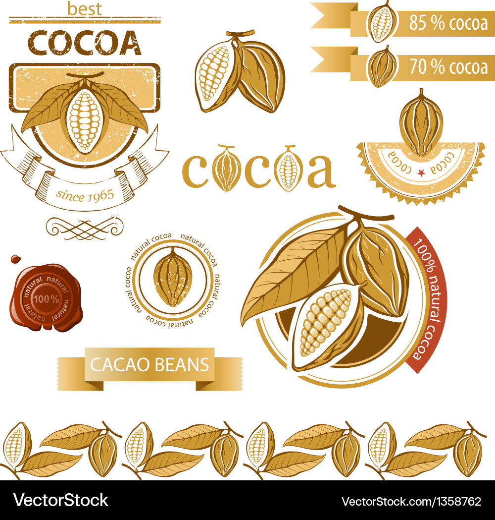 Cocoa Bean Icons & Emblems vector image