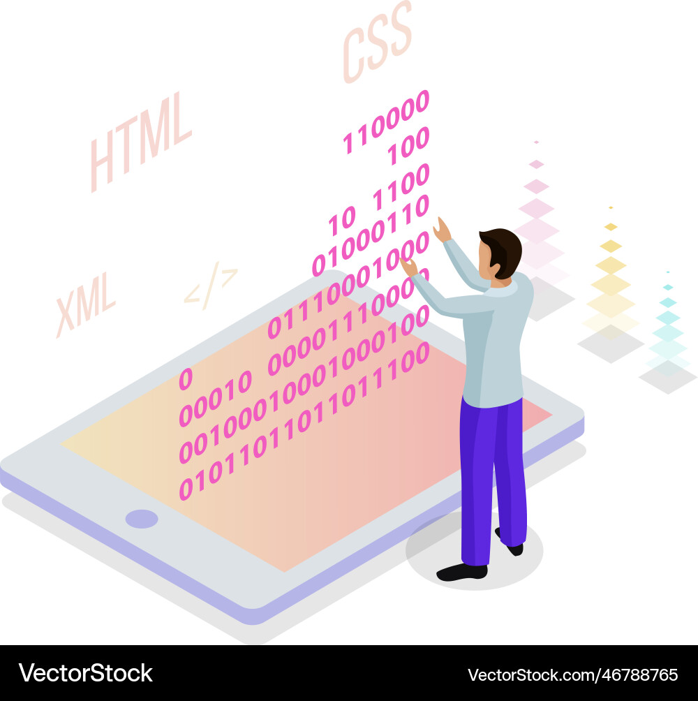 Programming isometric concept Programming isometric concept vector image