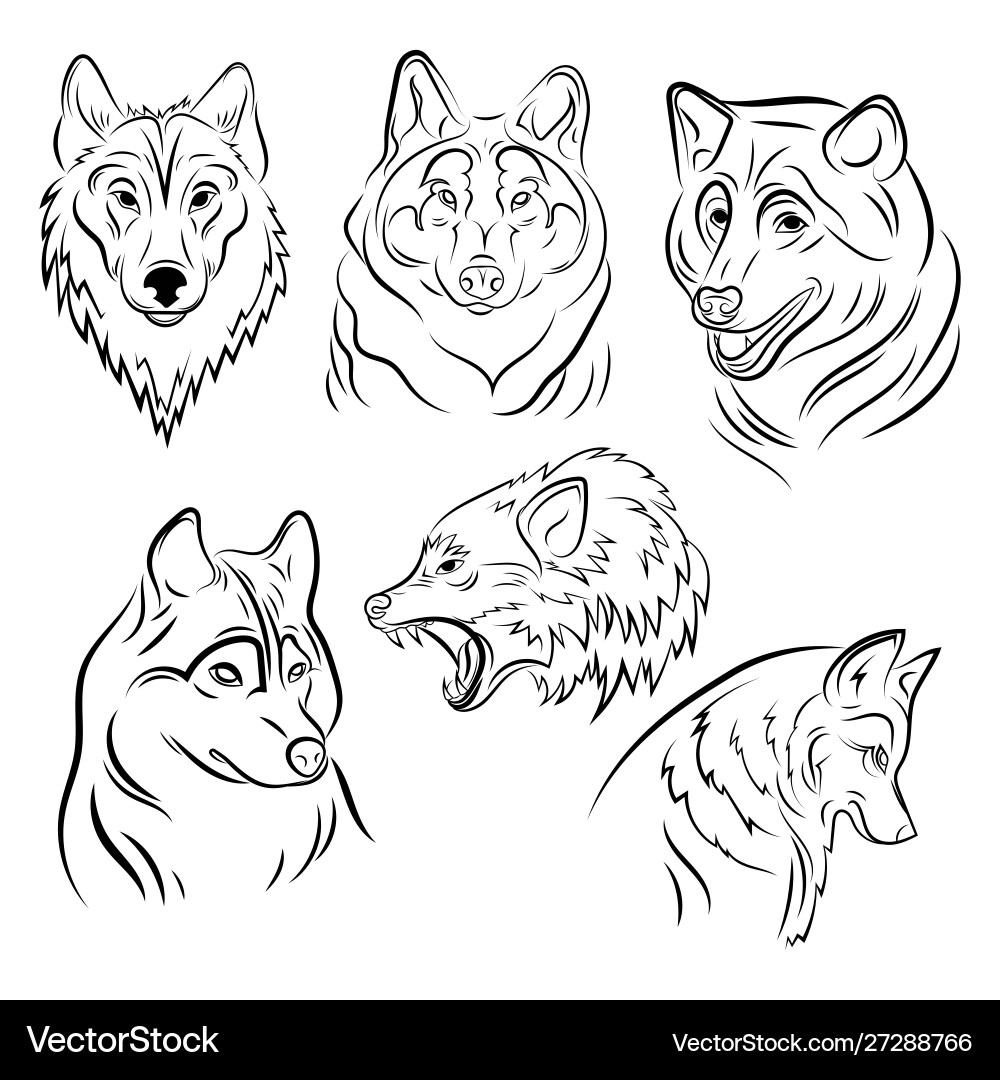 Set portraits wolves collection wolf Royalty Free Vector