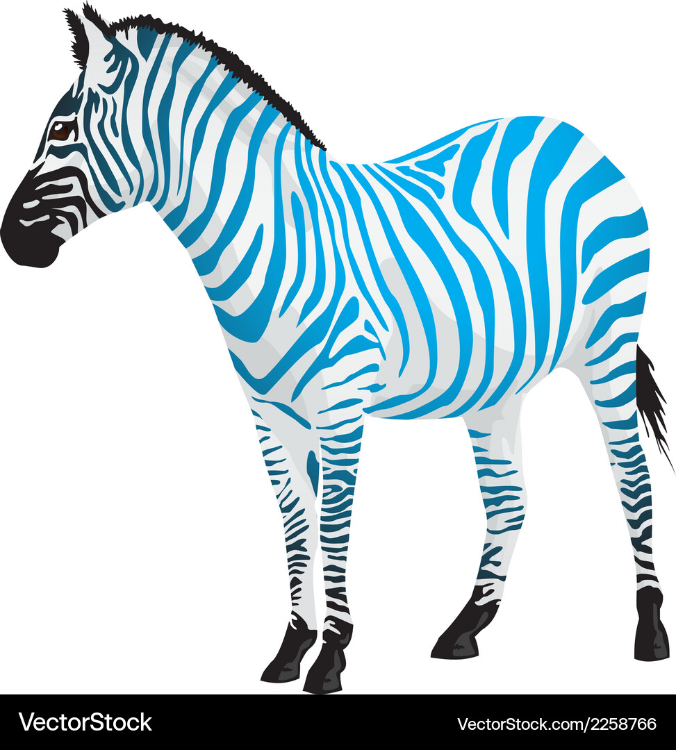 blue tint zebra