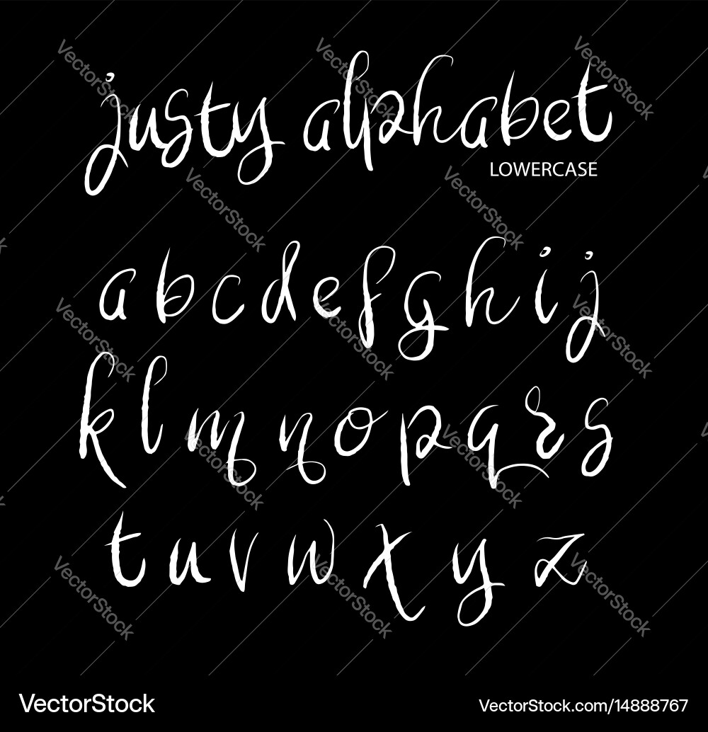 Elegant Script Alphabet vector image