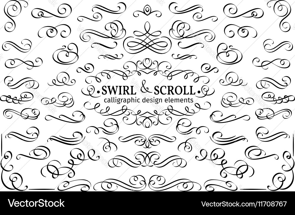 Elegant Swirls & Scroll Patterns vector image