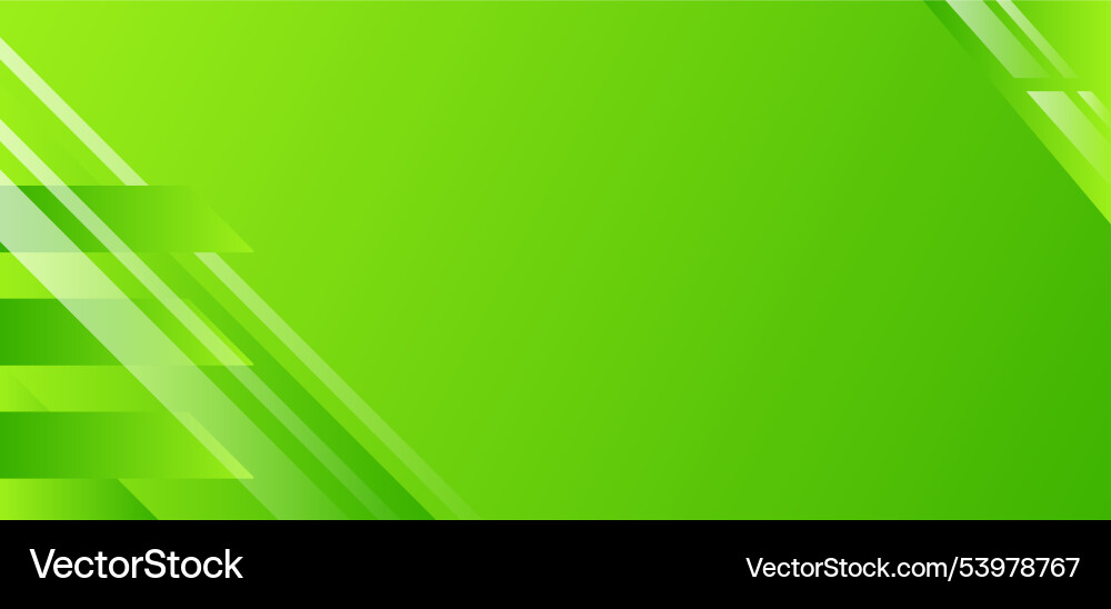 Green gradient background with variations of lines vector image