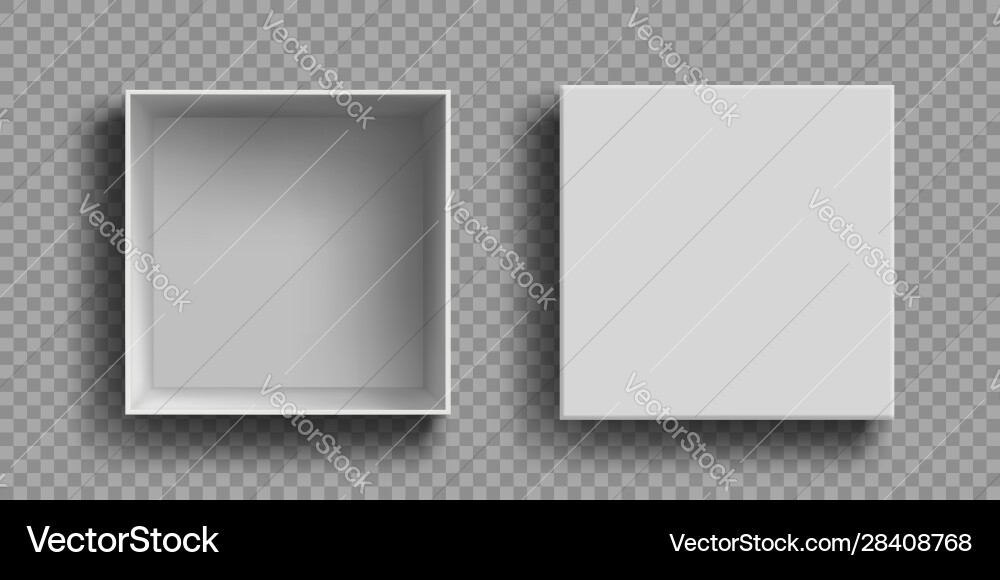Open Empty Cardboard Box - Top View vector image