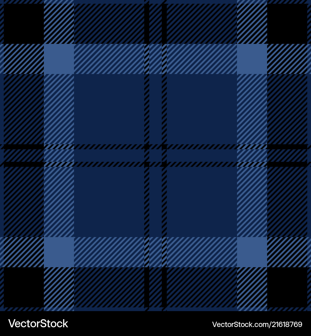 Blue and Black Tartan Plaid Pattern Vector Image