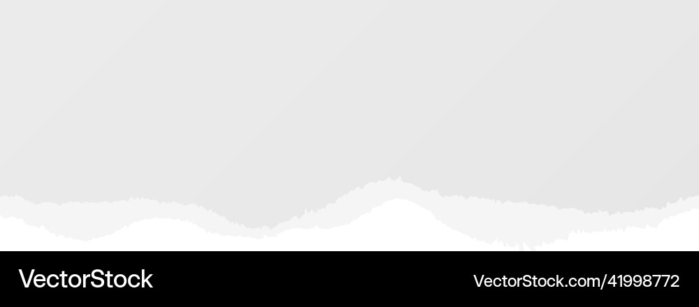 Paper stripe with torn edge realistic texture vector image