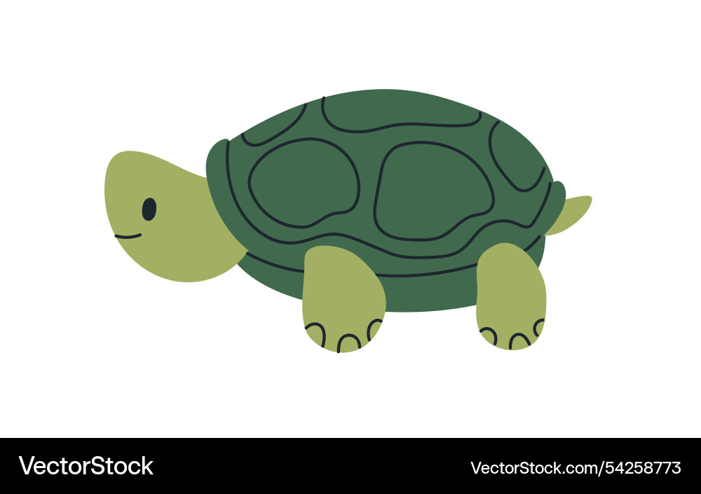 Cute turtle with shell happy reptile character Cute turtle with shell happy reptile character vector image