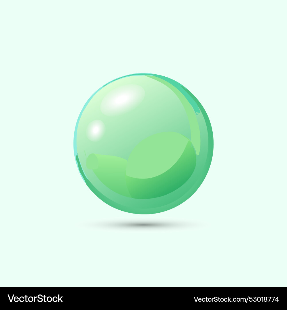 Realistic soap water bubble gradient Vector Image