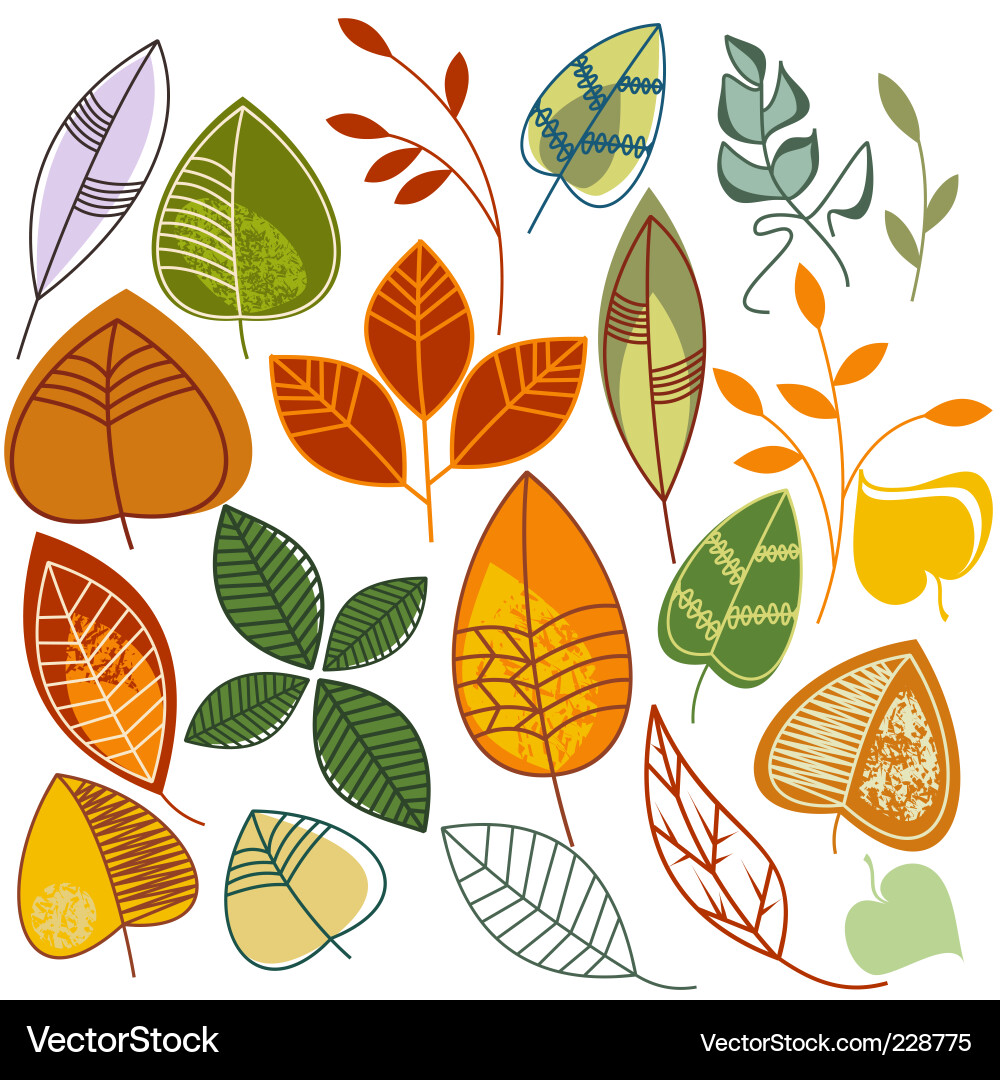 Autumn Leaf Pattern vector image