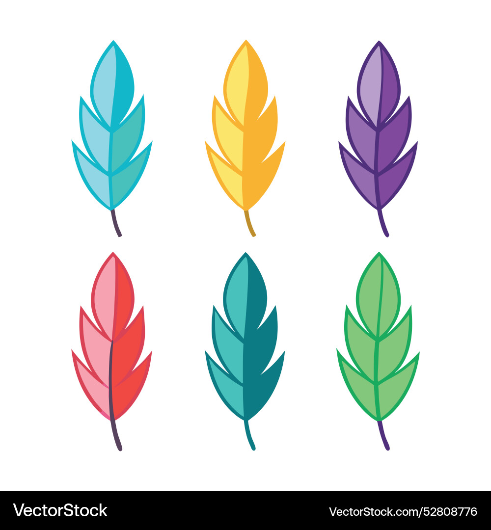 Feather concept colorful linear icons color Feather concept colorful linear icons color Vector Image
