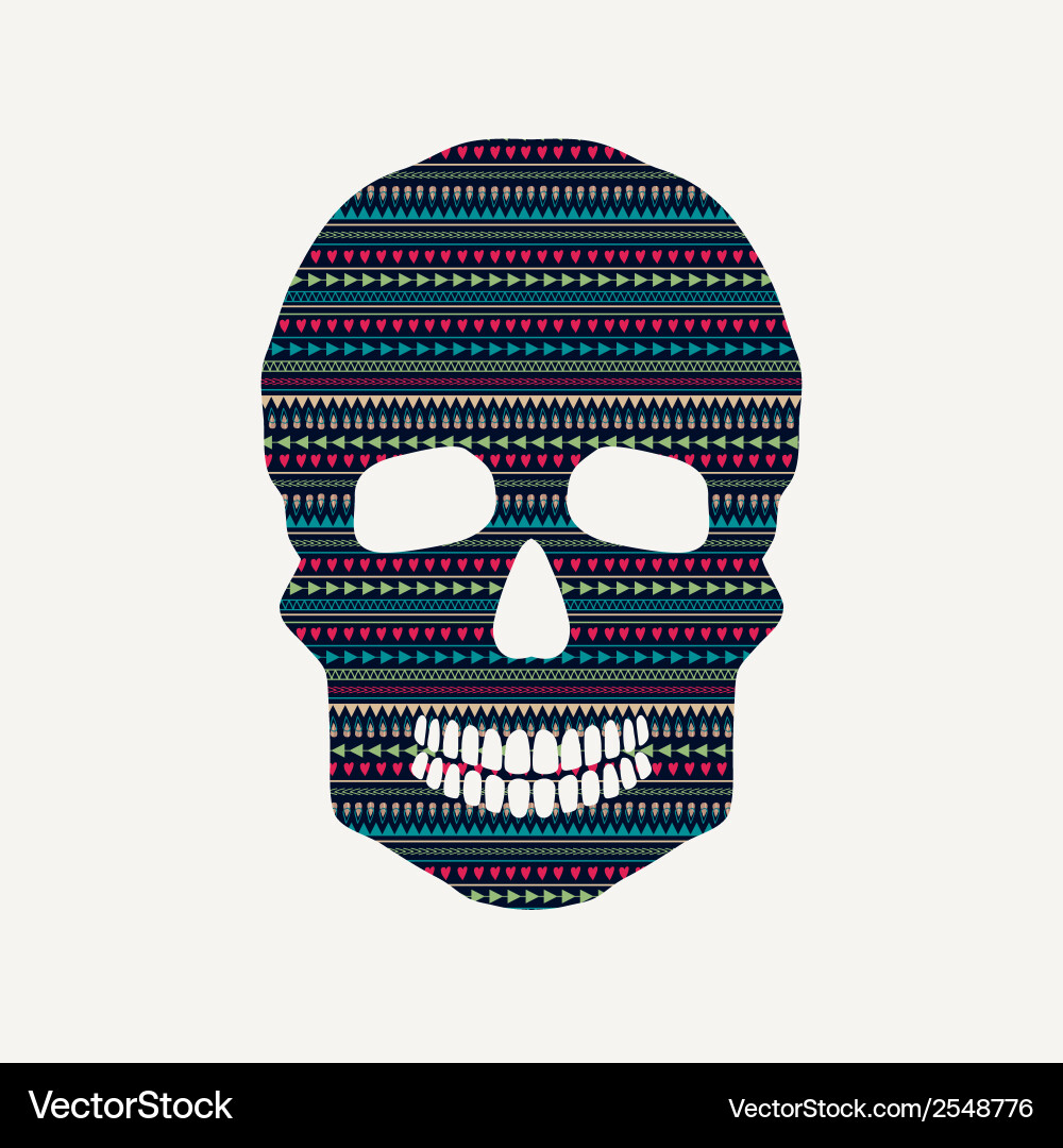 Skull with pattern vector image