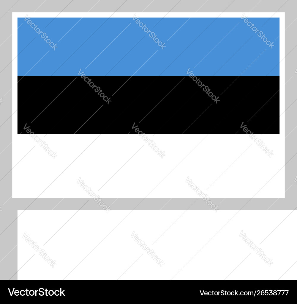 Flag on flagpole rectangular shape icon white Vector Image