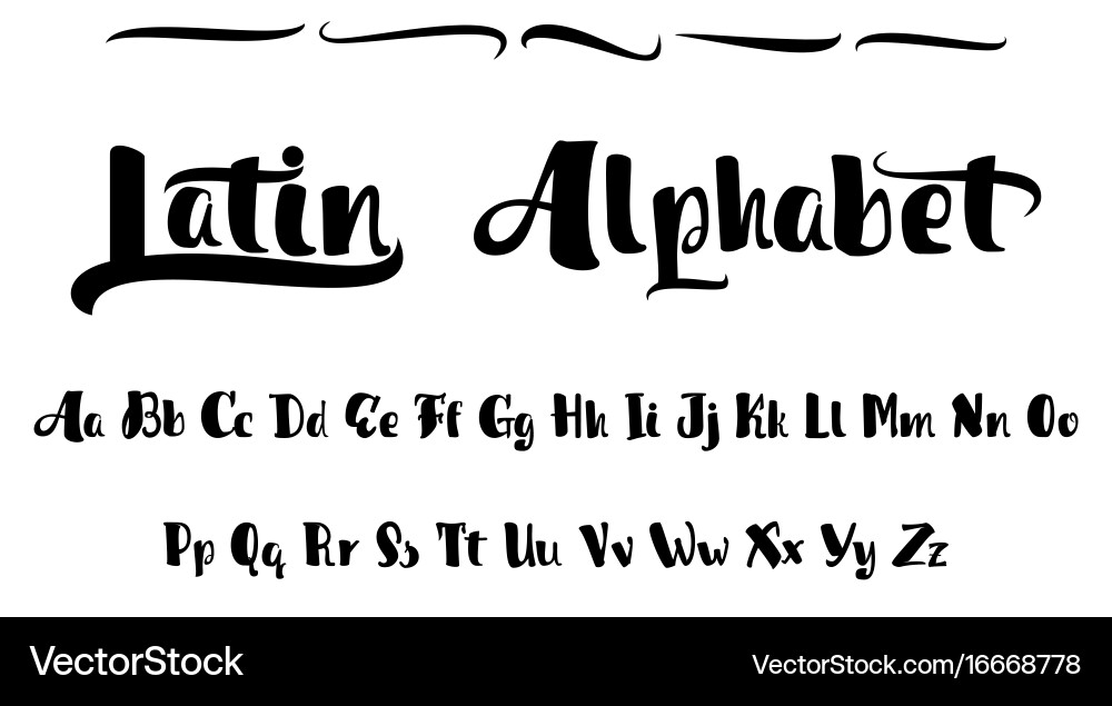 Alphabet calligraphic font unique custom vector image